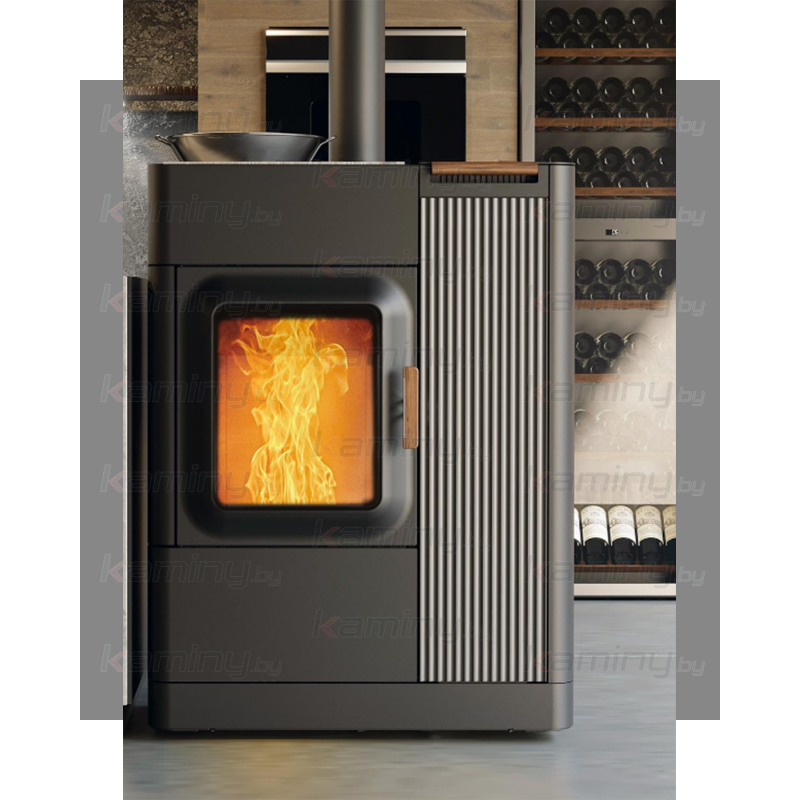 Пеллетный камин Austroflamm Mo Duo Cook производитель Austroflamm