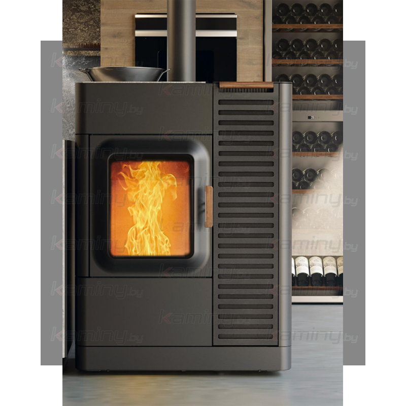 Пеллетный камин Austroflamm Mo Duo Cook производитель Austroflamm
