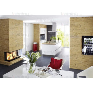 Топка Brunner Panorama-Kamin 51/25/101/25 производитель Brunner